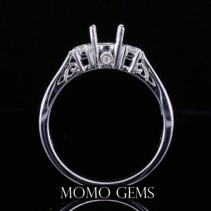 แหวนตัวเรือน M46Q65